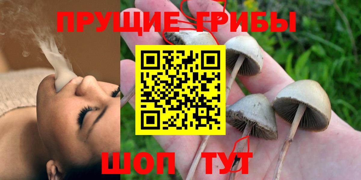 Галлюциногенные грибы MAGIC MUSHROOMS  Вход с VPN  Псилоцибиновые грибы Magic Shrooms  Тамбов 